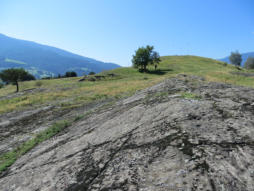 Großer Schalenstein gegen Süden. Links unterhalb des Hügels sind weitere Steine mit einigen Schalen.
